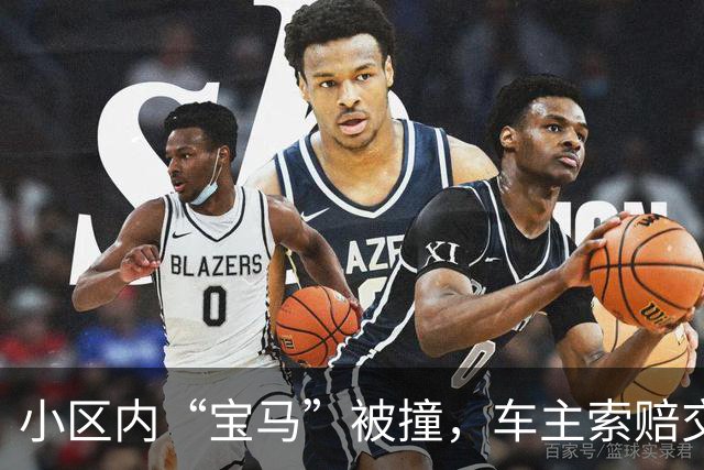 小区内“宝马”被撞，车主索赔交通与通讯费用