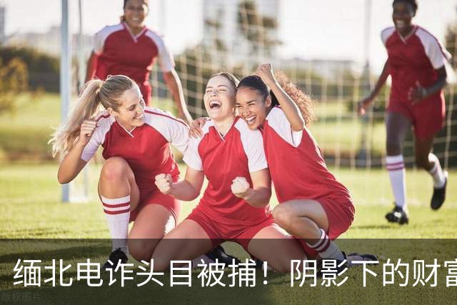 缅北电诈头目被捕！阴影下的财富与人脉关系引发舆论风暴
